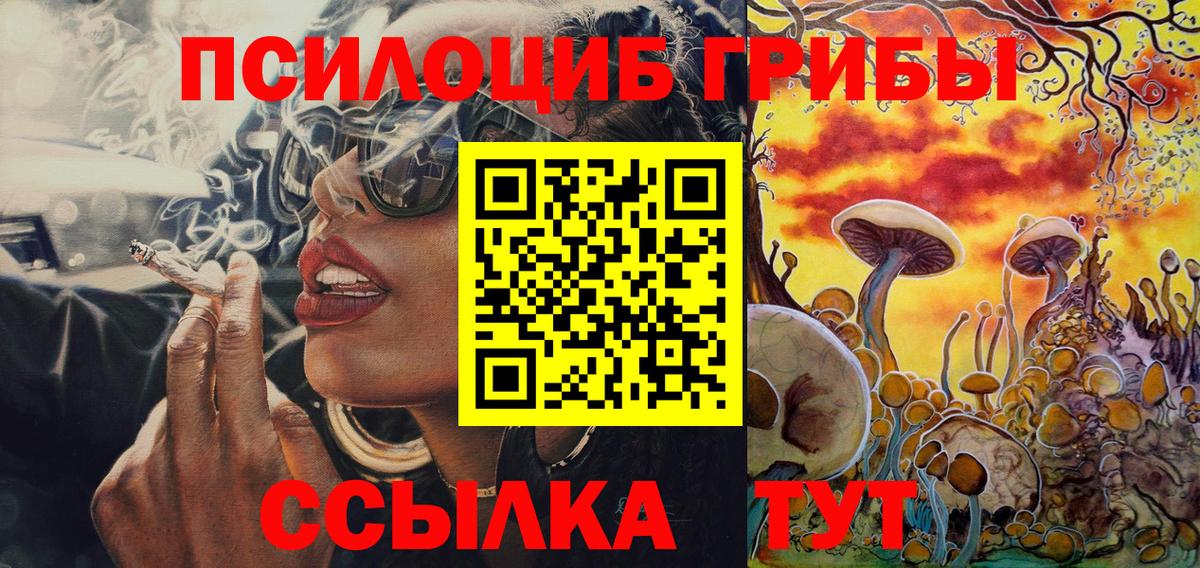 Черемхово  Галлюциногенные грибы Psilocybine cubensis  Вход с VPN 